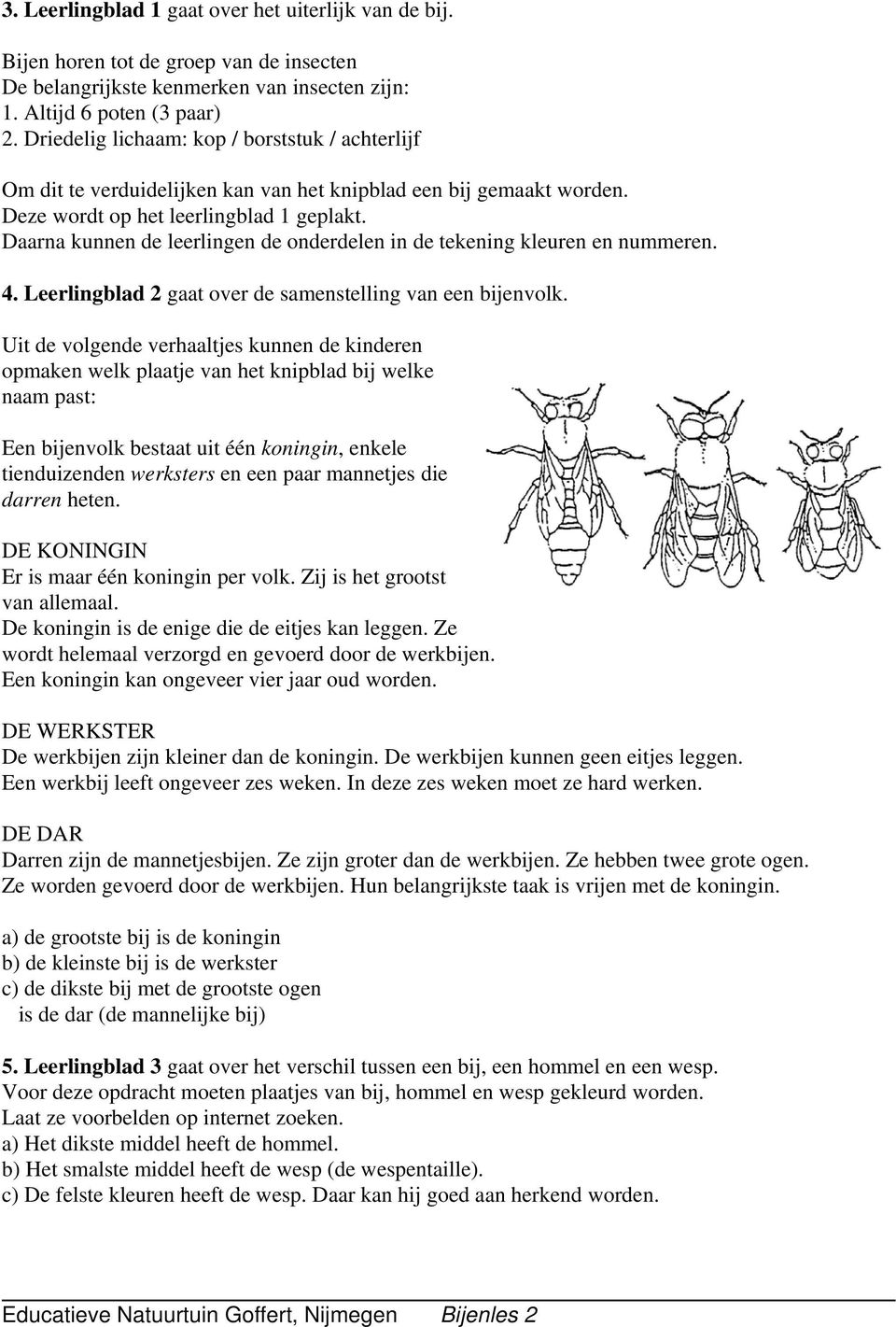 Daarna kunnen de leerlingen de onderdelen in de tekening kleuren en nummeren. 4. Leerlingblad 2 gaat over de samenstelling van een bijenvolk.