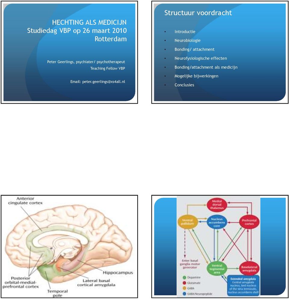 nl Structuur voordracht Introductie Neurobiologie Bonding/ attachment