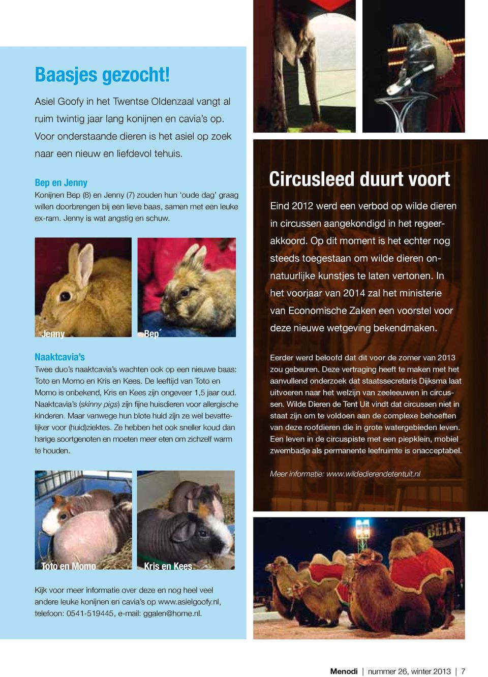 Circusleed duurt voort Eind 2012 werd een verbod op wilde dieren Jenny Bep in circussen aangekondigd in het regeerakkoord.