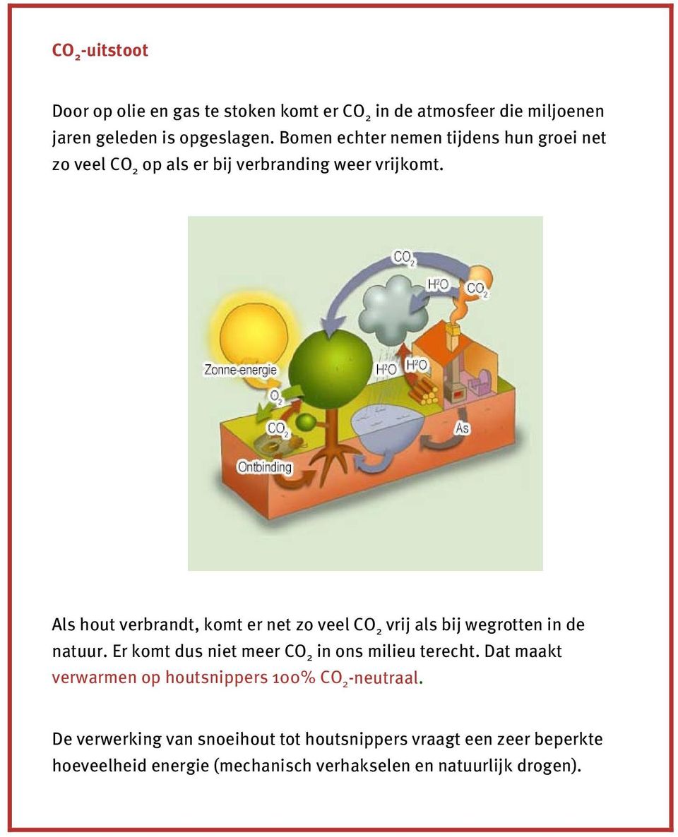 Als hout verbrandt, komt er net zo veel CO 2 vrij als bij wegrotten in de natuur. Er komt dus niet meer CO 2 in ons milieu terecht.