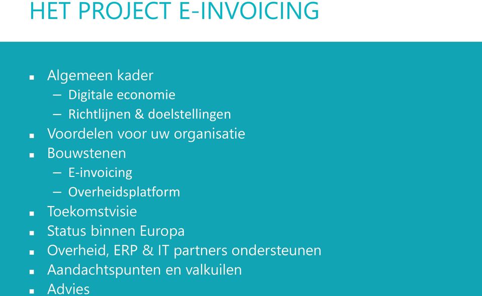 E-invoicing Overheidsplatform Toekomstvisie Status binnen