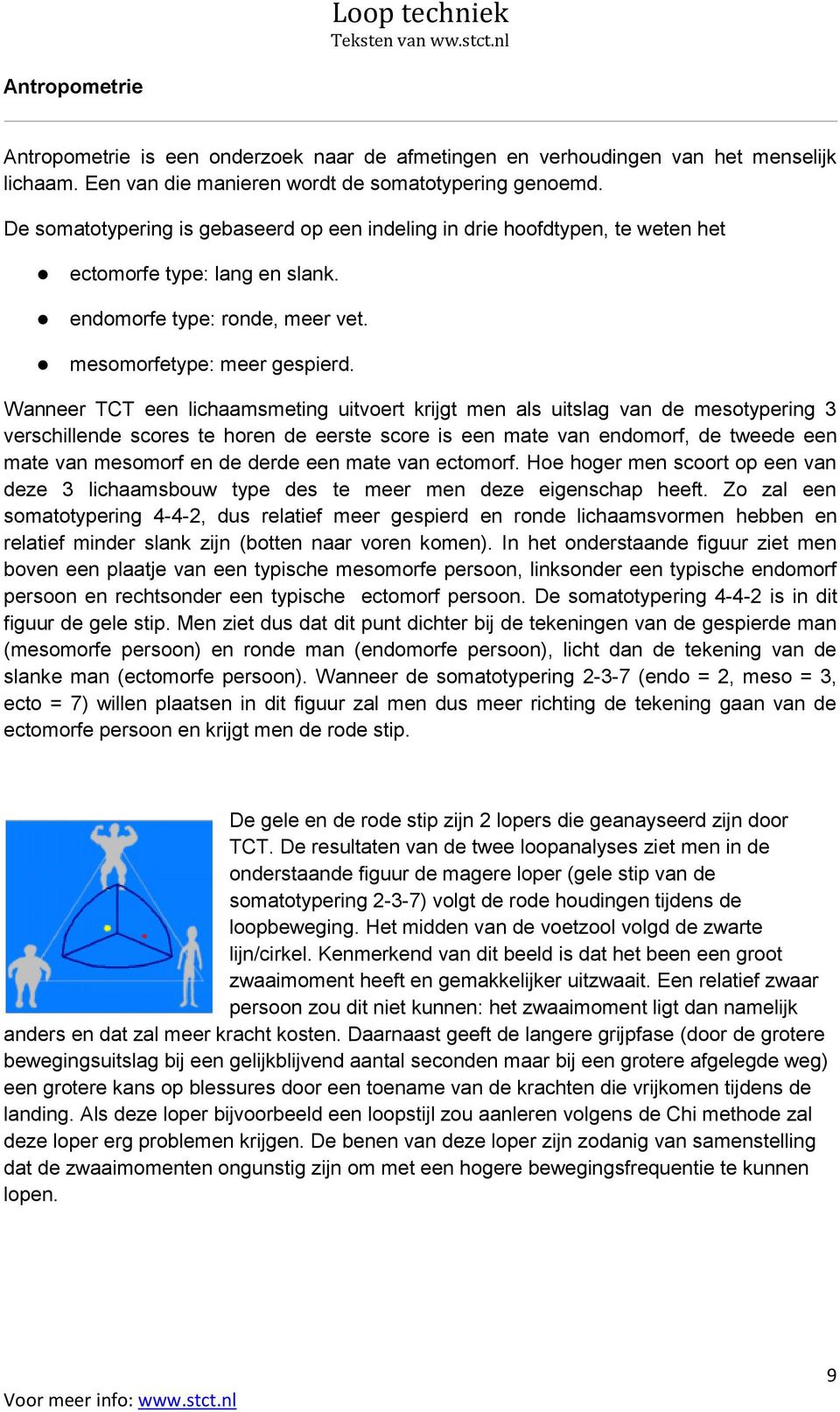 Wanneer TCT een lichaamsmeting uitvoert krijgt men als uitslag van de mesotypering 3 verschillende scores te horen de eerste score is een mate van endomorf, de tweede een mate van mesomorf en de