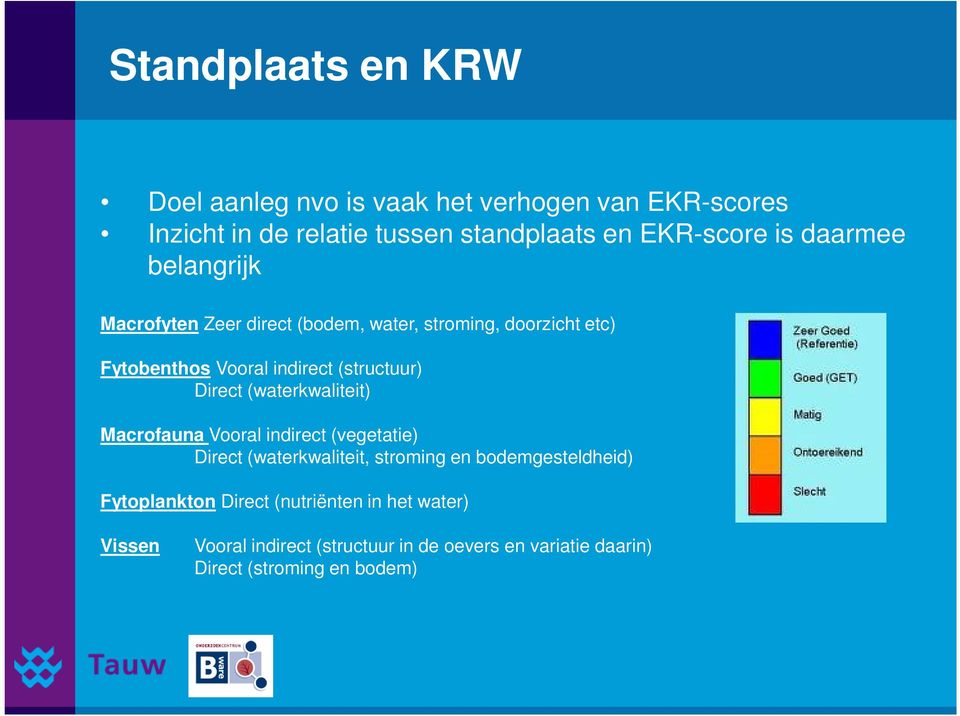 Direct (waterkwaliteit) Macrofauna Vooral indirect (vegetatie) Direct (waterkwaliteit, stroming en bodemgesteldheid)