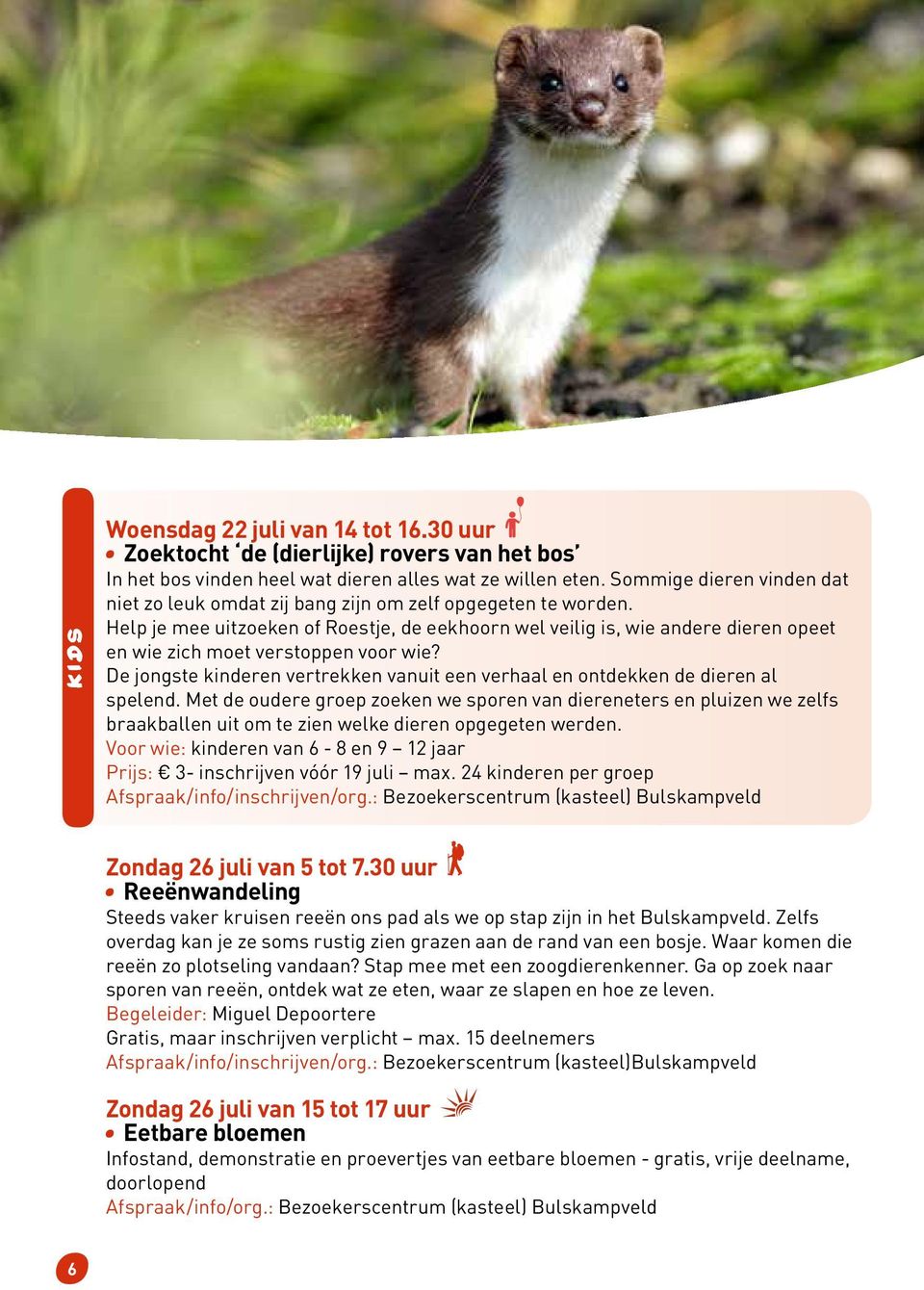 Help je mee uitzoeken of Roestje, de eekhoorn wel veilig is, wie andere dieren opeet en wie zich moet verstoppen voor wie?