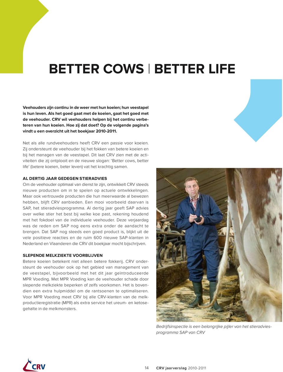 Net als alle rundveehouders heeft CRV een passie voor koeien. Zij ondersteunt de veehouder bij het fokken van betere koeien en bij het managen van de veestapel.