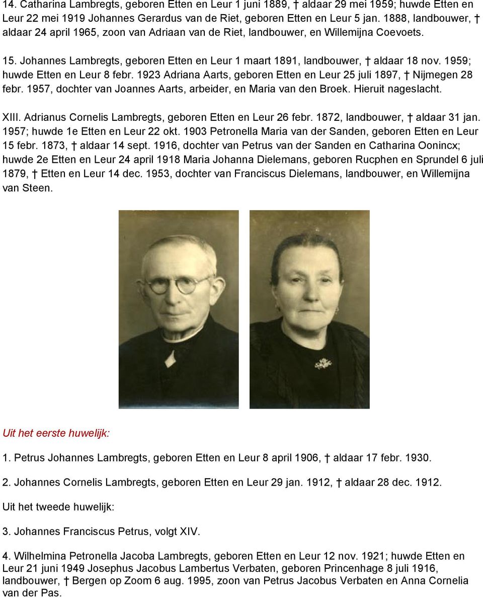1959; huwde Etten en Leur 8 febr. 1923 Adriana Aarts, geboren Etten en Leur 25 juli 1897, Nijmegen 28 febr. 1957, dochter van Joannes Aarts, arbeider, en Maria van den Broek. Hieruit nageslacht. XIII.