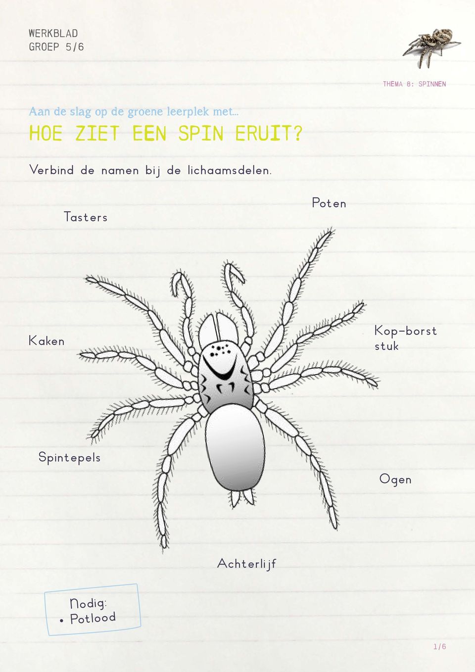 Tasters Poten Kaken Kop-borst stuk