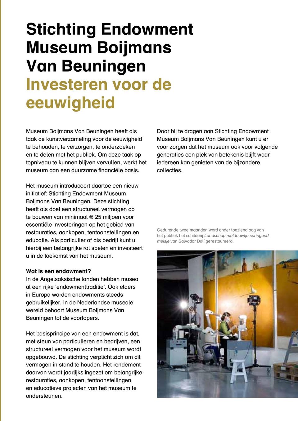 Het museum introduceert daartoe een nieuw initiatief: Stichting Endowment Museum Boijmans Van Beuningen.