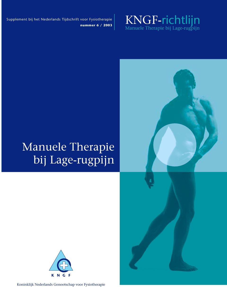 Therapie bij Lage-rugpijn Manuele Therapie bij