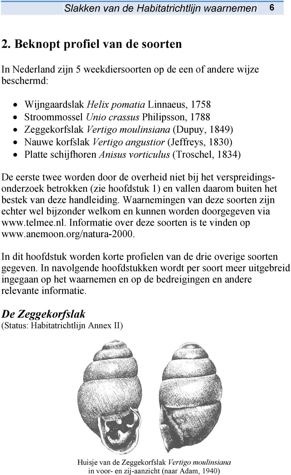 Zeggekorfslak Vertigo moulinsiana (Dupuy, 1849) Nauwe korfslak Vertigo angustior (Jeffreys, 1830) Platte schijfhoren Anisus vorticulus (Troschel, 1834) De eerste twee worden door de overheid niet bij