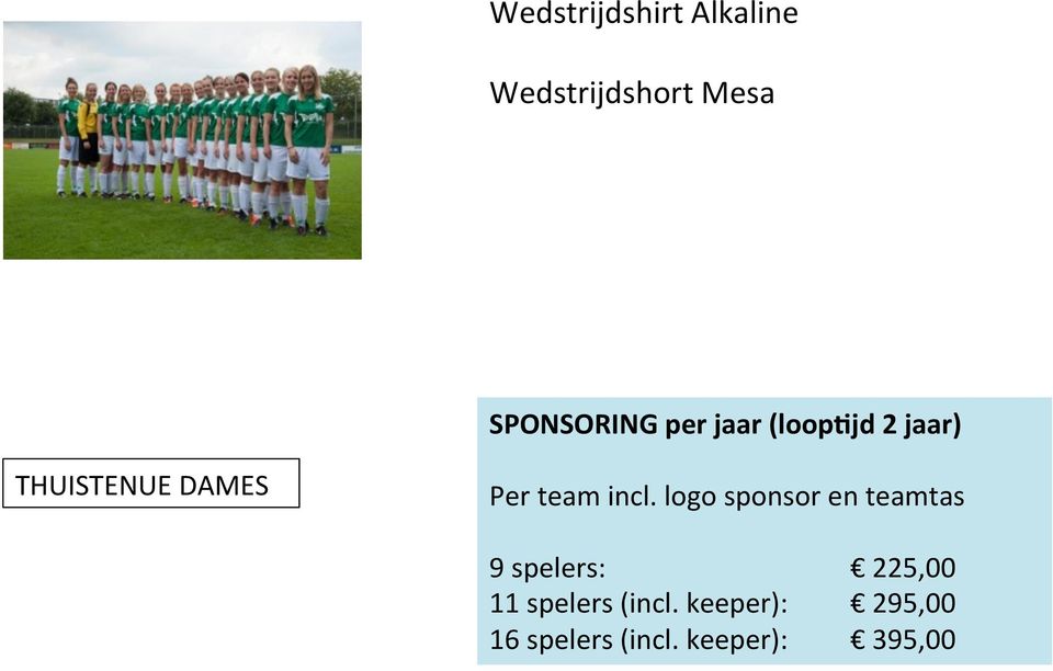 logo sponsor en teamtas 9 spelers: 225,00 11