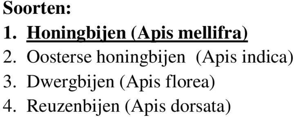 Oosterse honingbijen (Apis