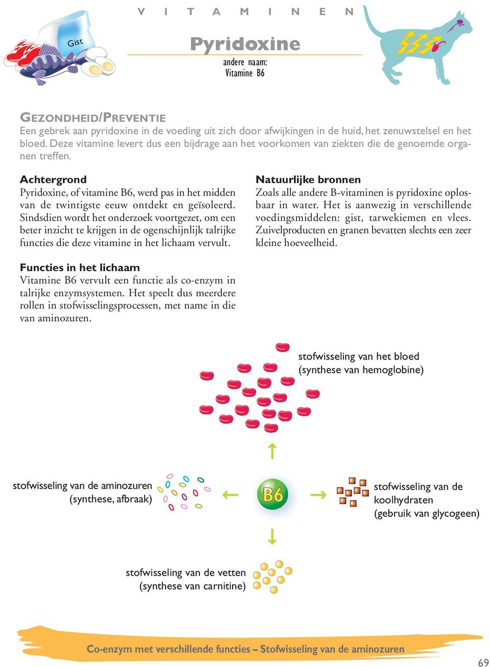 Sindsdien wordt het onderzoek voortgezet, om een beter inzicht te krijgen in de ogenschijnlijk talrijke functies die deze vitamine in het lichaam vervult.