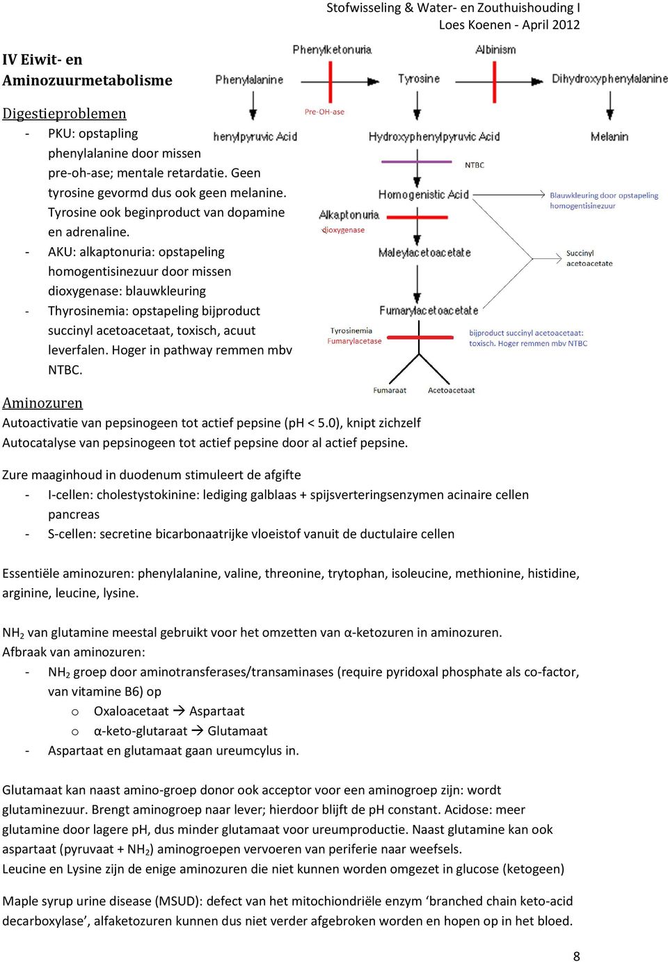 - AKU: alkaptonuria: opstapeling homogentisinezuur door missen dioxygenase: blauwkleuring - Thyrosinemia: opstapeling bijproduct succinyl acetoacetaat, toxisch, acuut leverfalen.