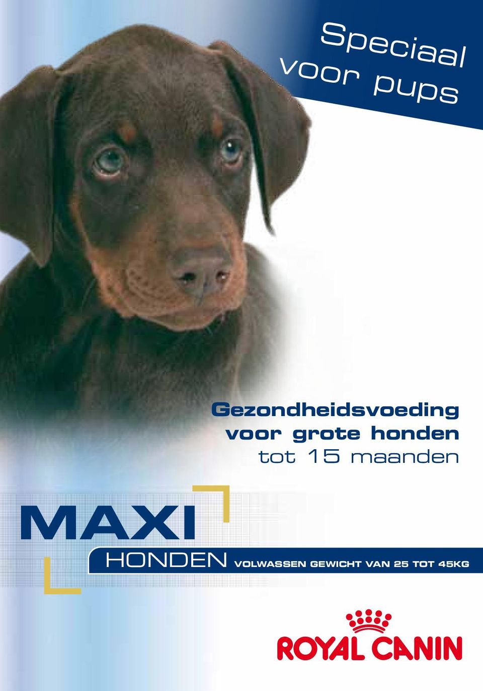 honden tot 15 maanden MAXI