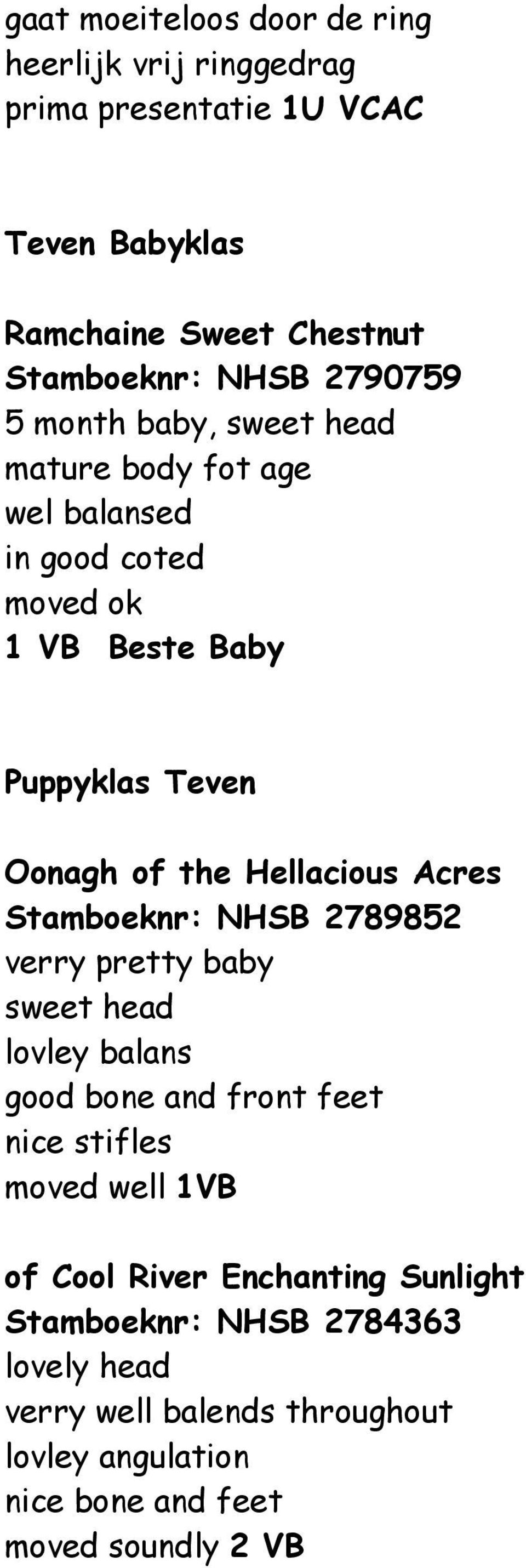 Hellacious Acres Stamboeknr: NHSB 2789852 verry pretty baby sweet head lovley balans good bone and front feet nice stifles moved well 1VB of