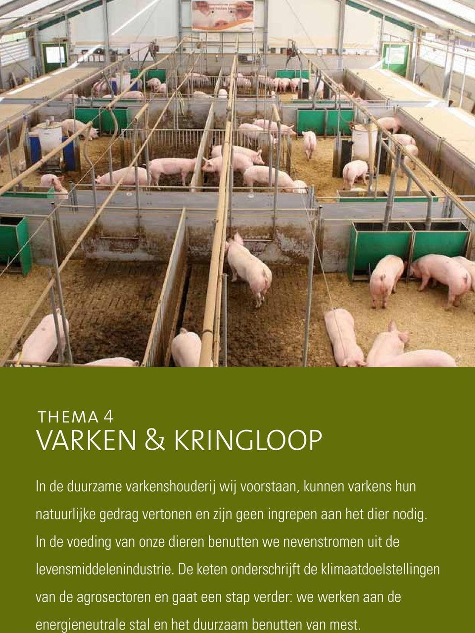 In de voeding van onze dieren benutten we nevenstromen uit de levensmiddelenindustrie.