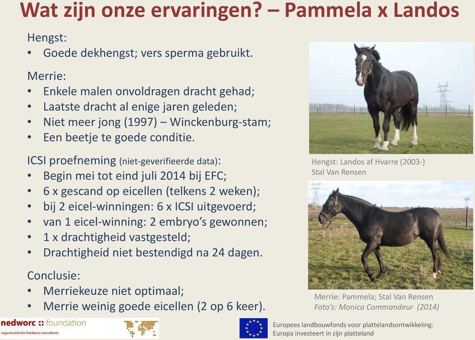 ICSI proefneming (niet-geverifieerde data): Begin mei tot eind juli 2014 bij EFC; 6 x gescand op eicellen (telkens 2 weken); bij 2 eicel-winningen: 6 x ICSI uitgevoerd; van 1