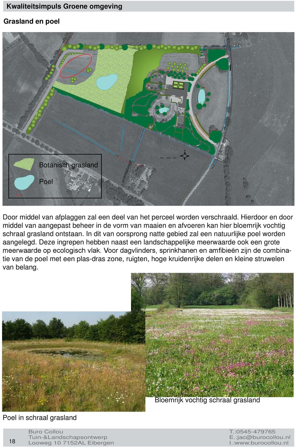 In dit van oorsprong natte gebied zal een natuurlijke poel worden aangelegd.