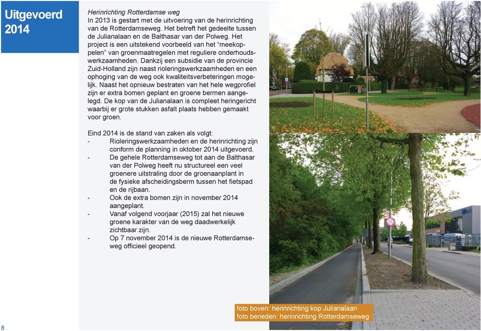 Dankzij een subsidie van de provincie Zuid-Holland zijn naast rioleringswerkzaamheden en een ophoging van de weg ook kwaliteitsverbeteringen mogelijk.