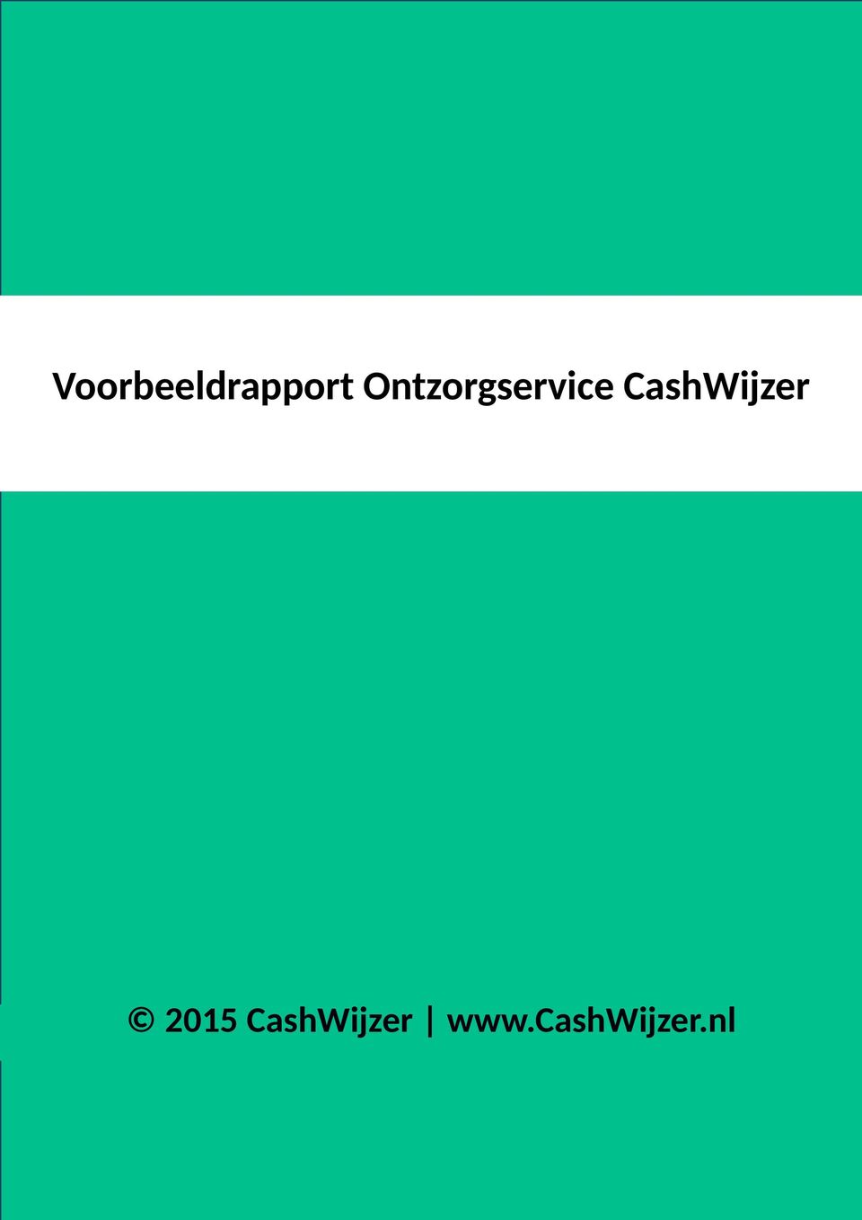 CashWijzer 2015
