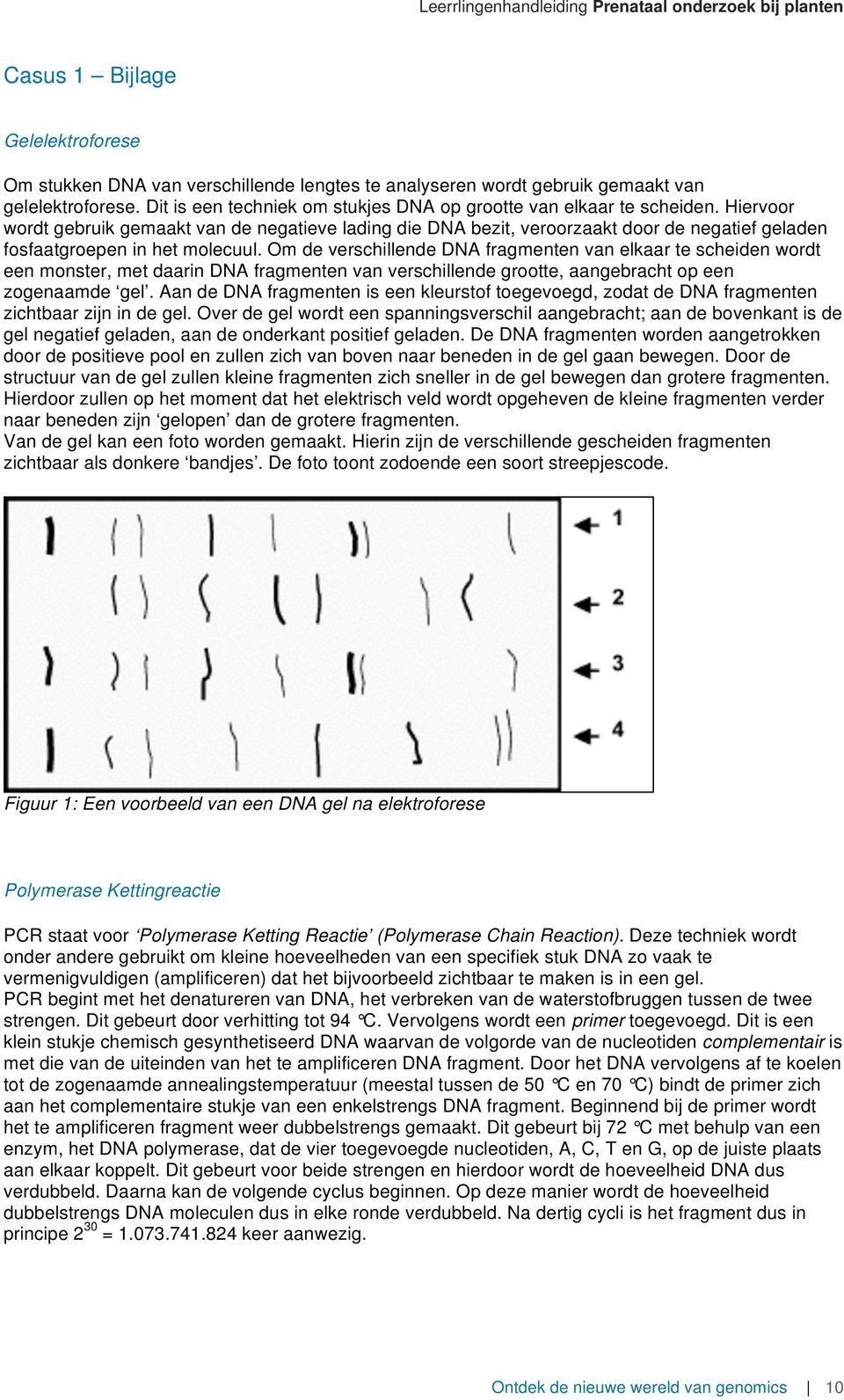 Hiervoor wordt gebruik gemaakt van de negatieve lading die DNA bezit, veroorzaakt door de negatief geladen fosfaatgroepen in het molecuul.