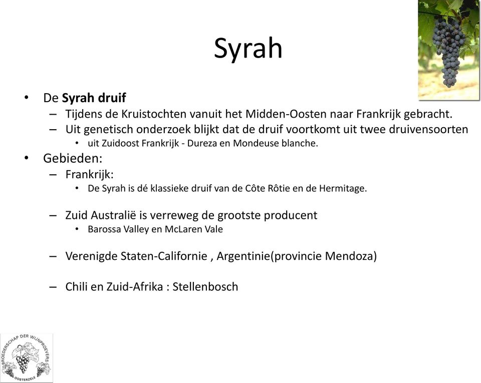 blanche. Gebieden: Frankrijk: De Syrah is dé klassieke druif van de Côte Rôtie en de Hermitage.