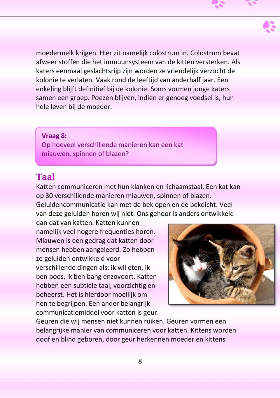 Soms vormen jonge katers samen een groep. Poezen blijven, indien er genoeg voedsel is, hun hele leven bij de moeder. Vraag 8: Op hoeveel verschillende manieren kan een kat miauwen, spinnen of blazen?