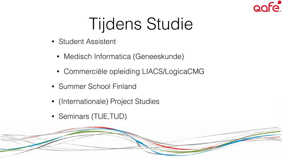 opleiding LIACS/LogicaCMG Summer School