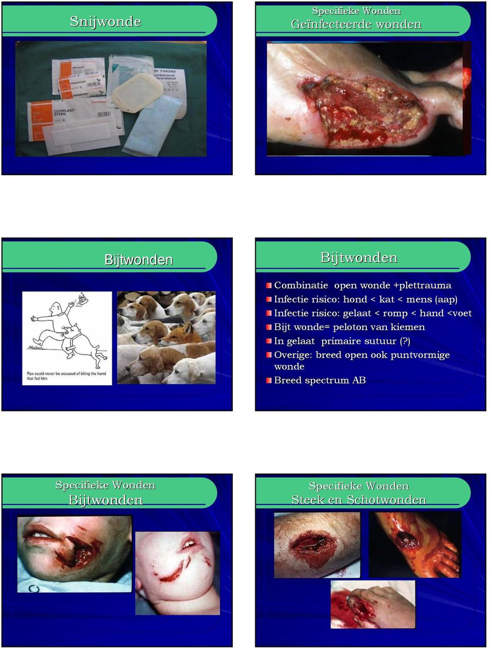 Herhalen van debridement Vochtig milieu vacuseal Langdurig antiseptica = cytotoxisch!