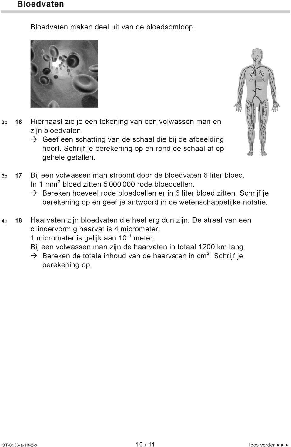 ereken hoeveel rode bloedcellen er in 6 liter bloed zitten. Schrijf je berekening op en geef je antwoord in de wetenschappelijke notatie. 4p 18 Haarvaten zijn bloedvaten die heel erg dun zijn.