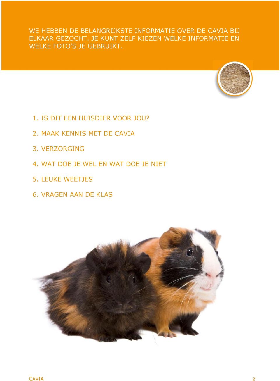 IS DIT EEN HUISDIER VOOR JOU? 2. MAAK KENNIS MET DE CAVIA 3. VERZORGING 4.