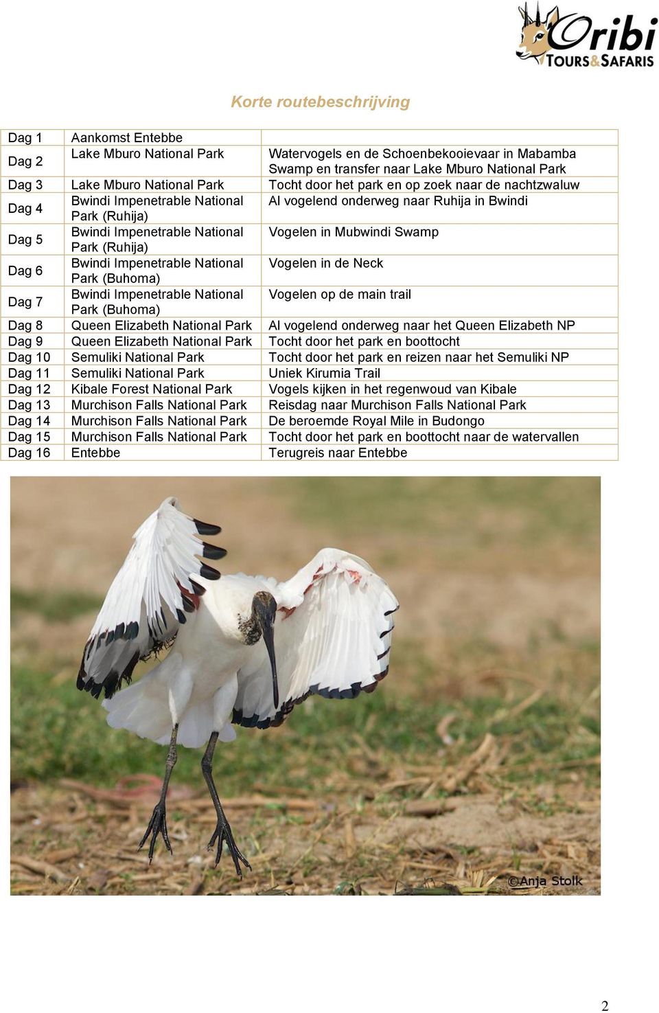 Mubwindi Swamp Park (Ruhija) Dag 6 Bwindi Impenetrable National Vogelen in de Neck Park (Buhoma) Dag 7 Bwindi Impenetrable National Vogelen op de main trail Park (Buhoma) Dag 8 Queen Elizabeth