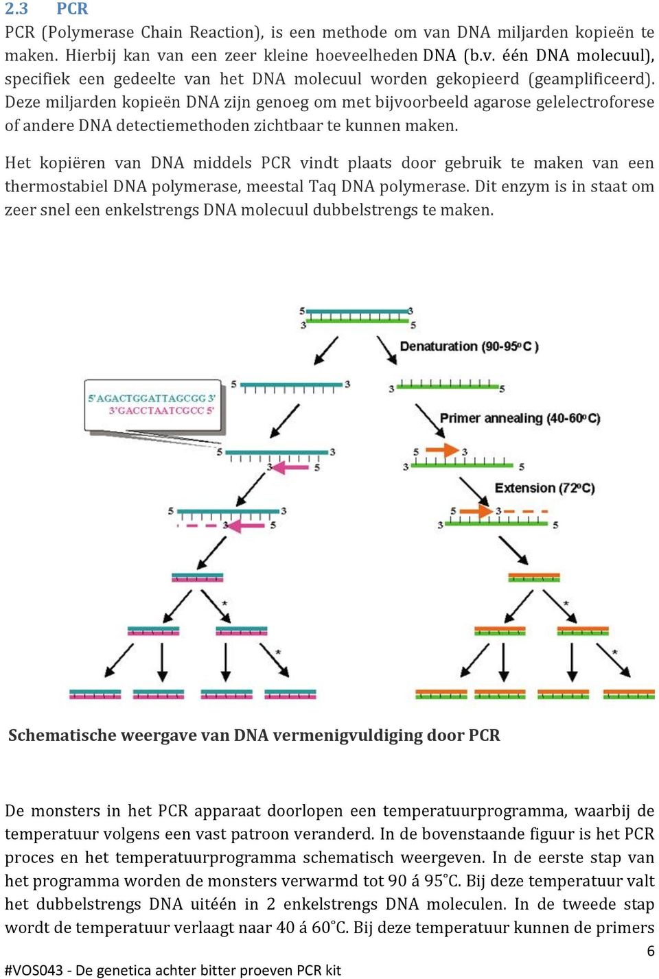Het kopiëren van DNA middels PCR vindt plaats door gebruik te maken van een thermostabiel DNA polymerase, meestal Taq DNA polymerase.