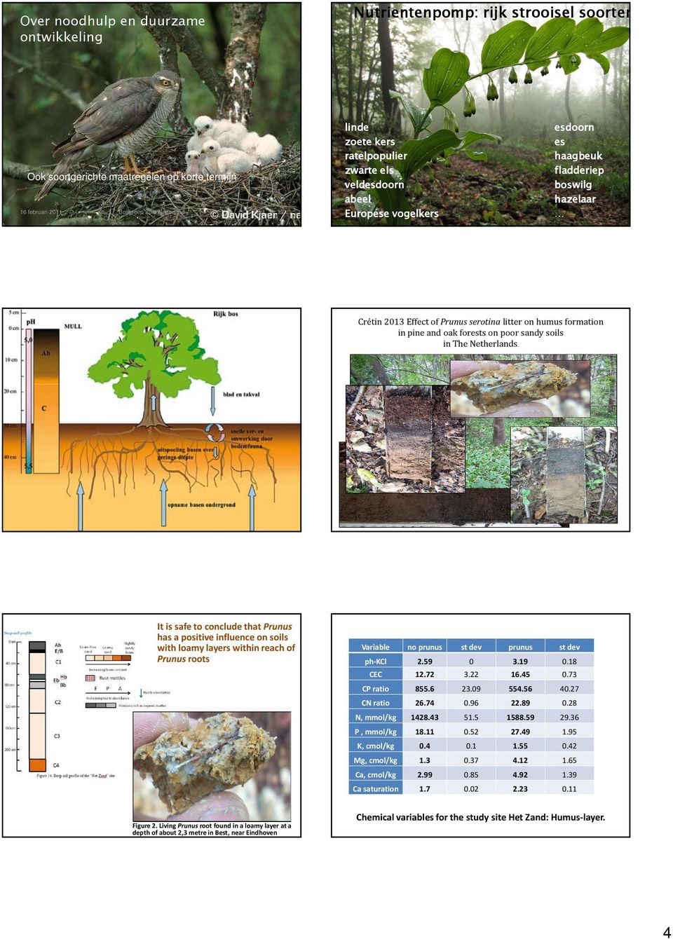 It is safe to conclude that Prunus has a positive influence on soils with loamy layers within reach of Prunus roots Variable no prunus st dev prunus st dev ph-kcl 2.59 0 3.19 0.18 CEC 12.72 3.22 16.