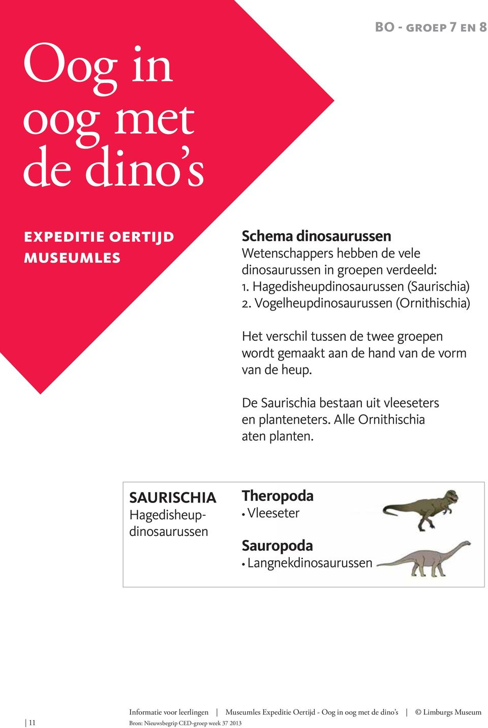 Vogelheupdinosaurussen (Ornithischia) Het verschil tussen de twee groepen wordt gemaakt aan de hand van de vorm van de heup.