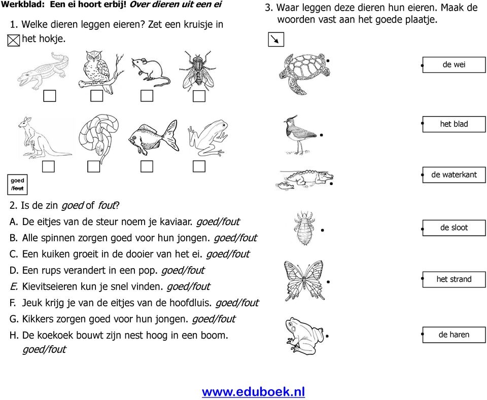 Habitat Teken een foto van Een. hoort erbij! Over dieren uit een ei. groepen 5-6. uitgave PDF Free  Download