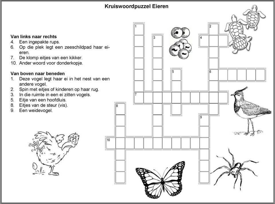 legt haar ei in het nest van een andere vogel 2 Spin met eitjes of kinderen op haar rug 3 In die ruimte in een ei