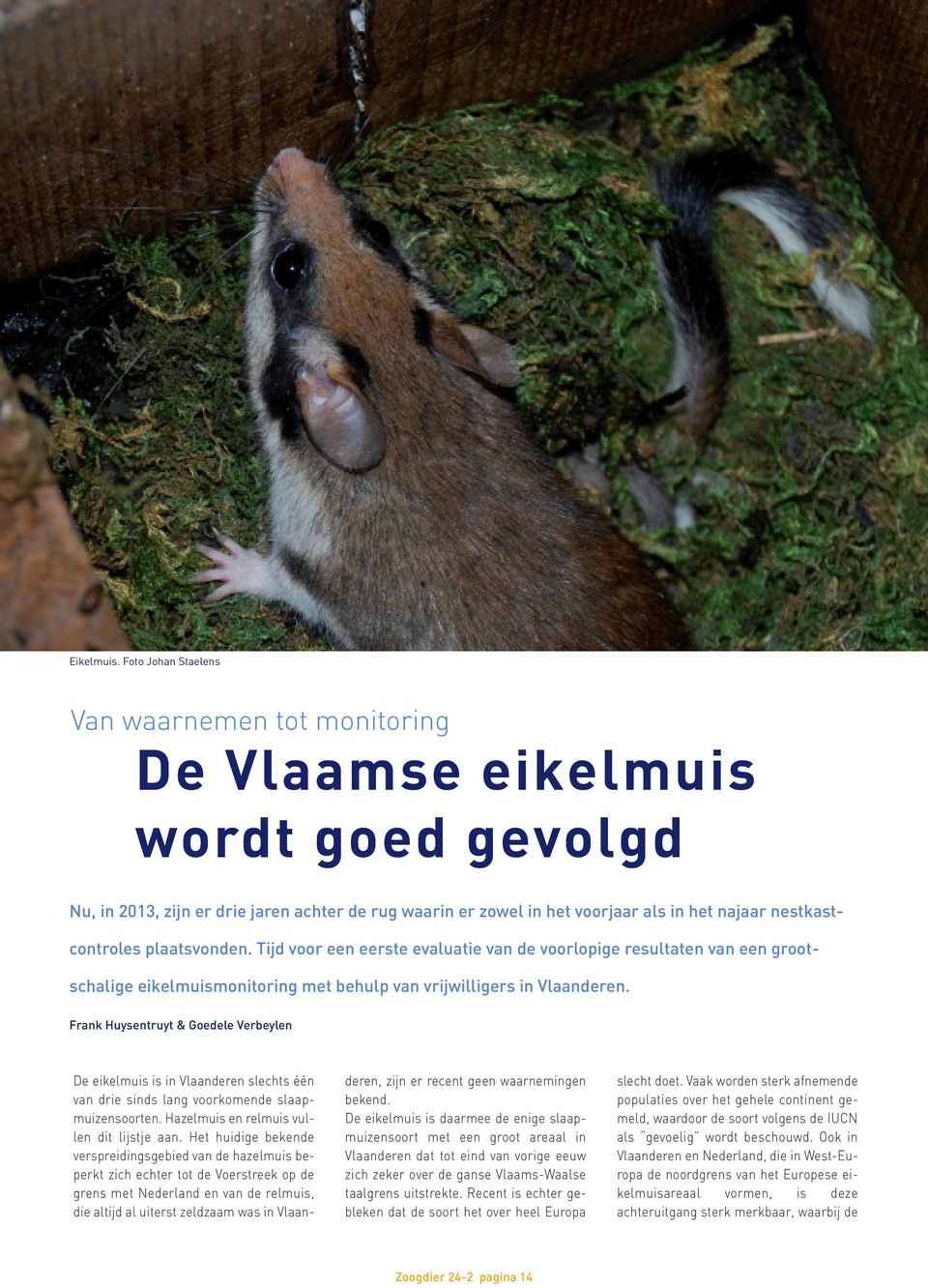 nestkastcontroles plaatsvonden. Tijd voor een eerste evaluatie van de voorlopige resultaten van een grootschalige eikelmuismonitoring met behulp van vrijwilligers in Vlaanderen.