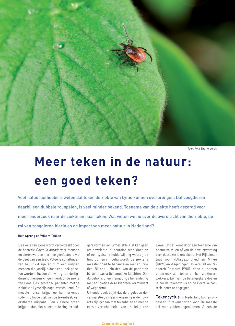 Wat weten we nu over de overdracht van die ziekte, de rol van zoogdieren hierin en de impact van meer natuur in Nederland?