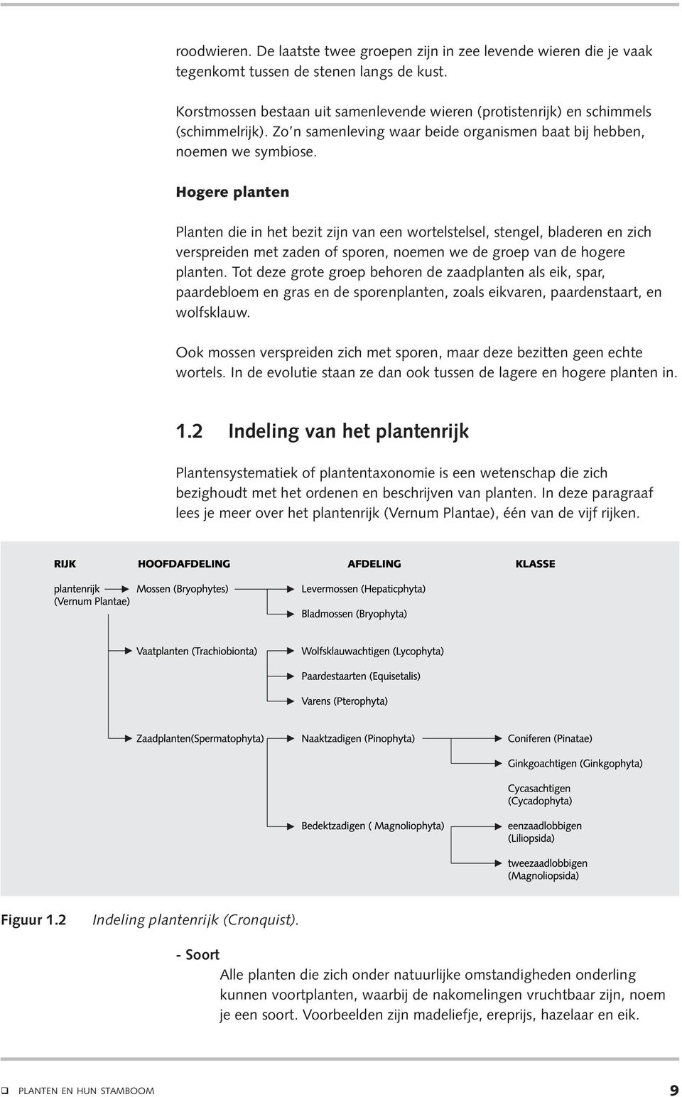 Hogere planten Planten die in het bezit zijn van een wortelstelsel, stengel, bladeren en zich verspreiden met zaden of sporen, noemen we de groep van de hogere planten.