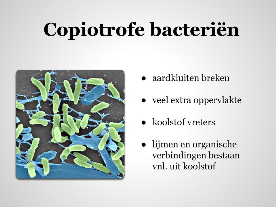 koolstof vreters lijmen en