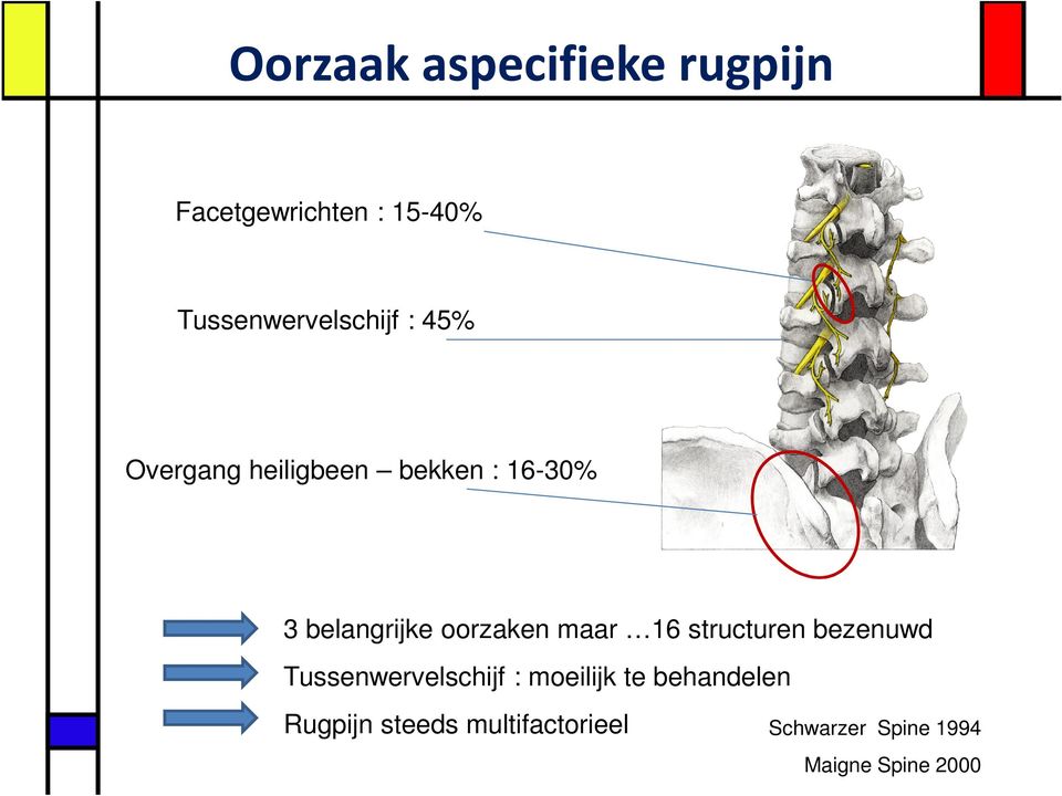 belangrijke oorzaken maar 16 structuren bezenuwd Tussenwervelschijf :