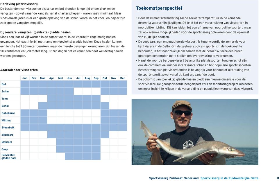 Bijzondere vangsten; (gevlekte) gladde haaien Sinds een jaar of vijf worden in de zomer vooral in de Voordelta regelmatig haaien gevangen. Het gaat hierbij met name om (gevlekte) gladde haaien.