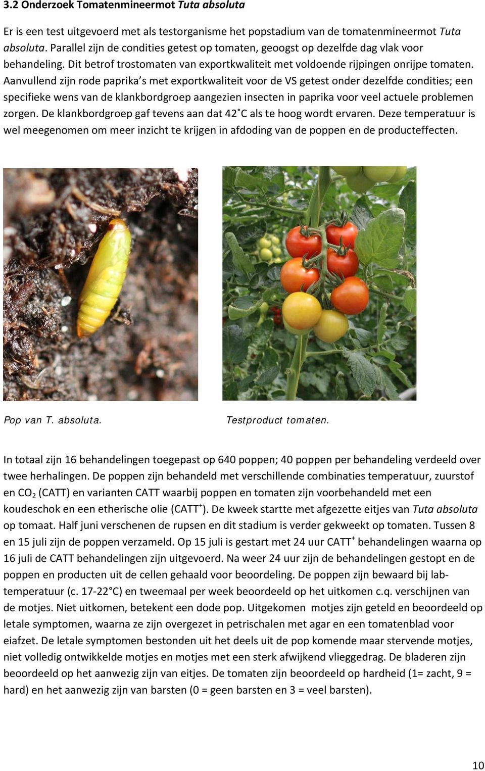 Aanvullend zijn rode paprika s met exportkwaliteit voor de VS getest onder dezelfde condities; een specifieke wens van de klankbordgroep aangezien insecten in paprika voor veel actuele problemen