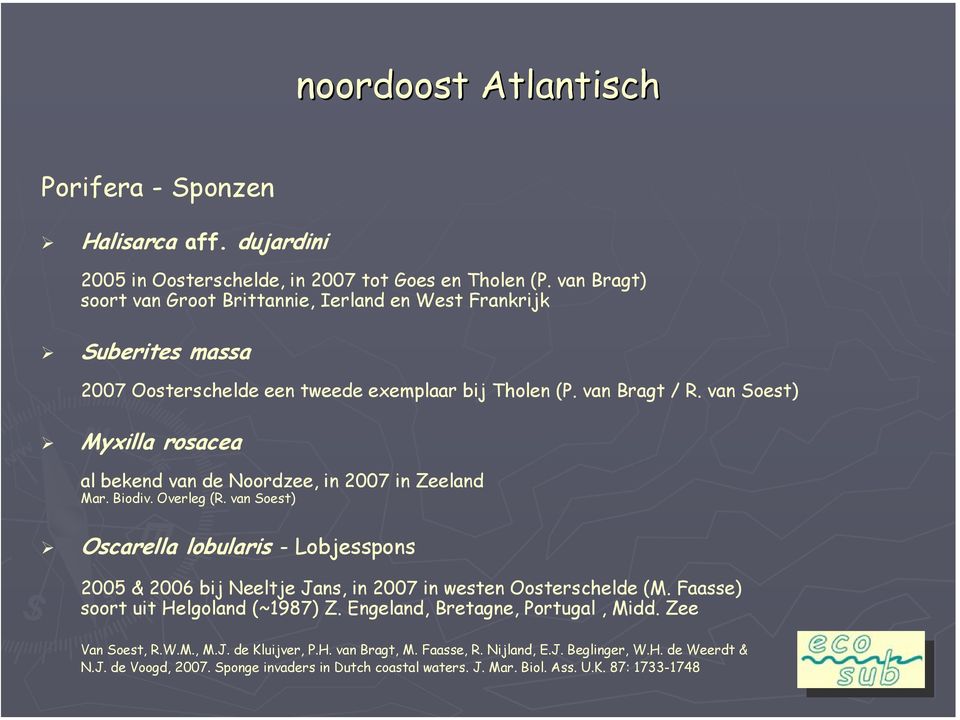 van Soest) Myxilla rosacea al bekend van de Noordzee, in 2007 in Zeeland Mar. Biodiv. Overleg (R.