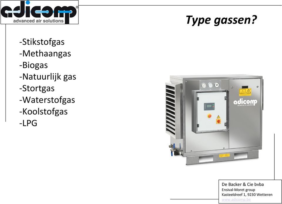 -Biogas -Natuurlijk gas