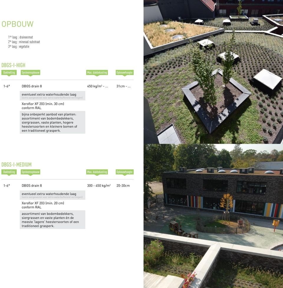 30 cm) conform RAL bijna onbeperkt aanbod van planten: assortiment van bodembedekkers, siergrassen, vaste planten, hogere heestersoorten en kleinere bomen of een traditioneel grasperk.