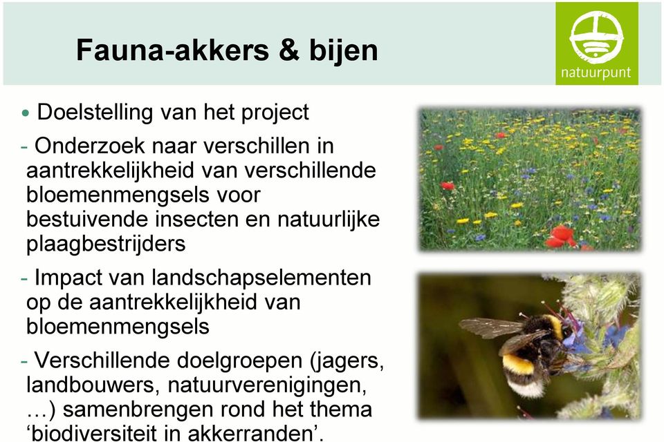 Impact van landschapselementen op de aantrekkelijkheid van bloemenmengsels - Verschillende