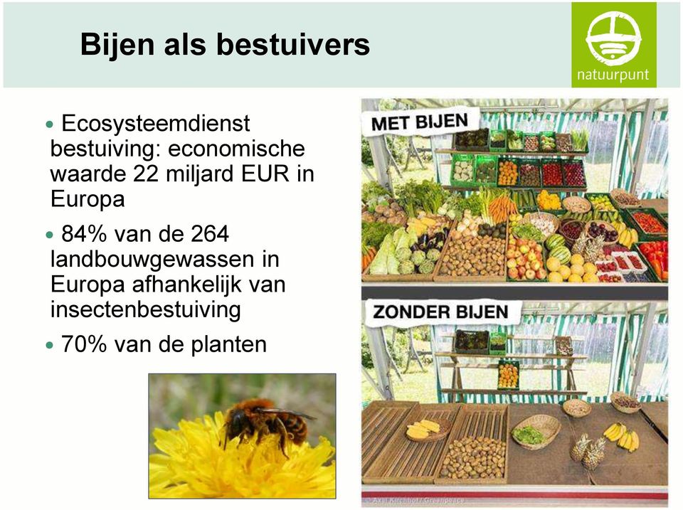 in Europa 84% van de 264 landbouwgewassen in